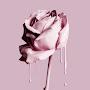 @Rose-eo7zo