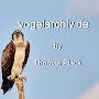 @vogelarchivde