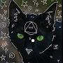 @Luna_cat33