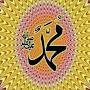 @mustafeibrahim7450