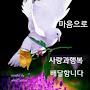 @동강-m3p