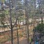 @행복한일상-g9u