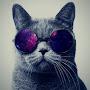 @Mikhail_markov