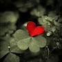@sandrarivera6301
