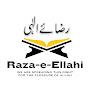 @Raza-e-Ellahi