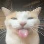 @4chr