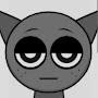 @Gray-758-ofical