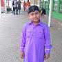@gulsherkhan8876