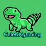 @CalebXgaming