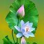@Pradhyeep7593