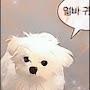 @영진박-r1n