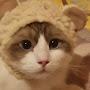 @심쿵제리유타고
