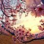 @BTS7BiggestFan