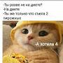 @СашаТерещенко-п1я
