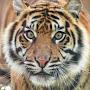 @abdelhakim5558