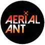 @Aerial-Ant