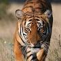 @sujitraj1969
