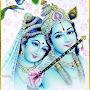 @anjaniyadav321