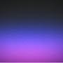 @starvection1951