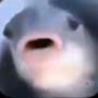 @kyogresloosyt3032