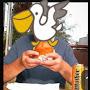 @2_pelicans