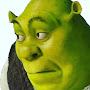 @shrekstraightouttaswampton