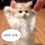 @하은TV-j9h
