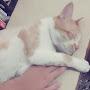 @有維-j1u