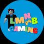 @RealLMNBGaming
