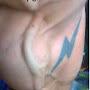 @cravenlevay8761