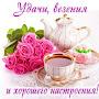 @Lousin755