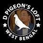 @dpigeonsloft