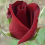 @UCjq8JtfuNoXpCJk3M9yL2-Q
