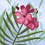@abdulhakeem5482
