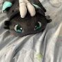 @dragonsquad7622
