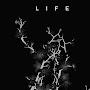 @LifeDiarys