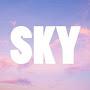 @skyi5987