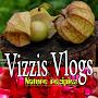 @vizzisvlogs5695