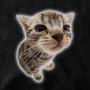 @panday9801
