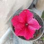 @سعید-ح3س