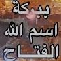 @hanan-elfadli