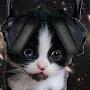 @OreoCat489