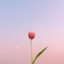 @단아-e1i