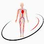 @optimalbodytv3341