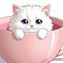 @Cats_and_Chaos