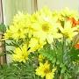 @rangasreenivasan3813