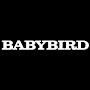 @babybird-youtube2881