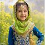 @naina2941