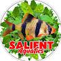@TheSalient1