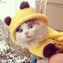 @Ma7yrka